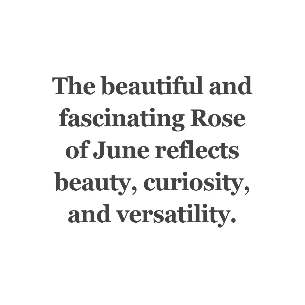 Rose of June Bead